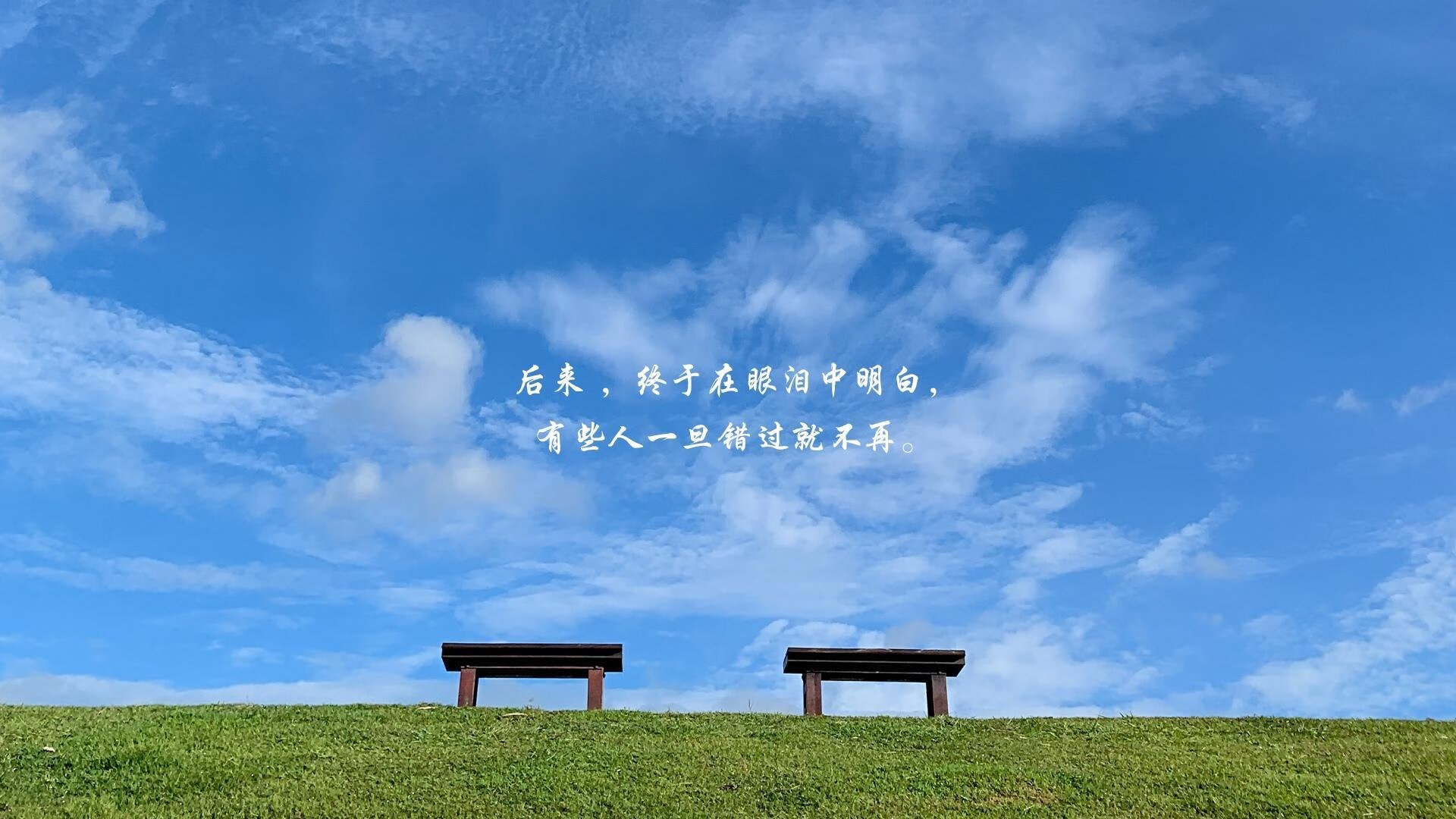 电视剧十大排行（电视剧排行榜排名前十名）